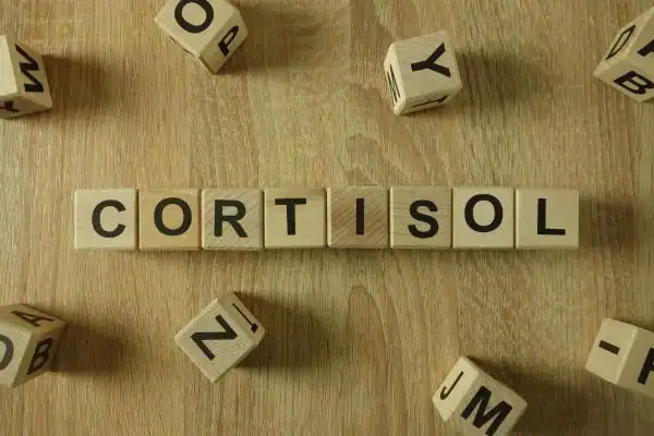 The Hidden Connection: How Stress Shapes Your Fitness and Body Composition 2 Image saying "Cortisol" and how stress Yorkshire impacts your wellbeing and bodies shape